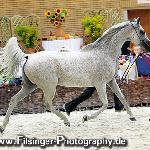 Pilar - Pilar 2007<br />&copy; Irina Filsinger