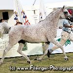 Pilar - Pilar 2008<br />&copy; Irina Filsinger