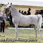 Pilar - Pilar 2008<br />&copy; Irina Filsinger