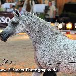 Pilar - Pilar 2010<br />&copy; Irina Filsinger