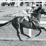Julio Mariner