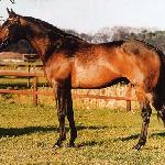 Julio Mariner