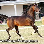 Eryks - Eryks 2008<br />&copy; Irina Filsinger