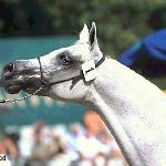 Hulanka - Hulanka 2002<br />&copy; R.Reed
