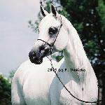 Emanda - 2005<br />&copy; Patrycja Umińska