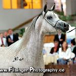 Emandoria - Emandoria 2006<br />&copy; Irina Filsinger