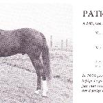 Patron