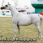 Sawantka - Sawantka 2008<br />&copy; Irina Filsinger