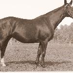 Harminia