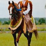 Saracen - Z Joanną Szymko, jesień 2011<br />&copy; Wiesław Pawłowski