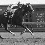 Orzeł - Orzeł wychodzi na prowadzenie i wygrywa z  Kontiki (Camelot x Almiki / Abu Farwa), w jego jedynej porażce - 30 marca 1968 tor Turf Paradise, Phoenix, AZ