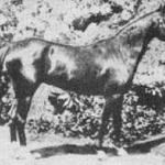 Queen of Sheba or.ar.