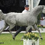Sefora - Sefora 2016<br />&copy; Anna Pyzara-Ratajczak