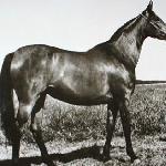 Mitra