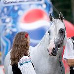 Piber - Piber 2008<br />&copy; R.Reed