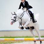 Salar<br />&copy; Ewa Imielska-Hebda