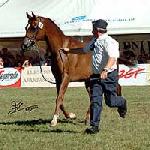 Ekspozycja - Ekspozycja 2004<br />&copy; Irina Filsinger