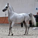 Esparto - sierpień 2013<br />&copy; Anna Pyzara-Nakoniechnaia