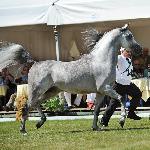 Esparto - Esparto 2009<br />&copy; Stuart Vesty