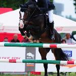 Contendor - CSIO Sopot 2010<br />&copy; Katarzyna Boryna