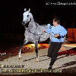 Eliat - Eliat 2009<br />&copy; Irina Filsinger