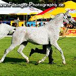 Perfazja - Perfazja 2006<br />&copy; Irina Filsinger