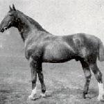 Alderman I / Aldermann I