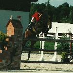 Grandie - Grandie w 2003 r