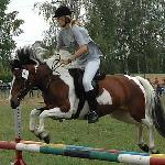 Hewia