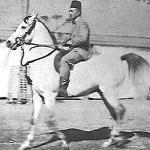 Shahloul