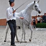 Palmira - sierpień 2013<br />&copy; Anna Pyzara-Nakoniechnaia