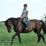 Piosenka<br />&copy; Stajnia Wielkie Wierzno - Krzysztof Trzaska<br /><i>Wielkie Wierzno dn. 22.08.2010 r.</i>