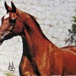 Fallada - 2000 r.<br />&copy; Stuart Vesty