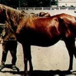 Mabrouka