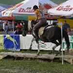 Armida<br />&copy; kejti