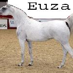 Euza