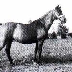 Hebda
