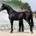 Simeon Sadik