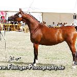 Eutenia - Eutenia 2008<br />&copy; Irina Filsinger
