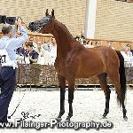 Boreas - Boreas 2008<br />&copy; Irina Filsinger