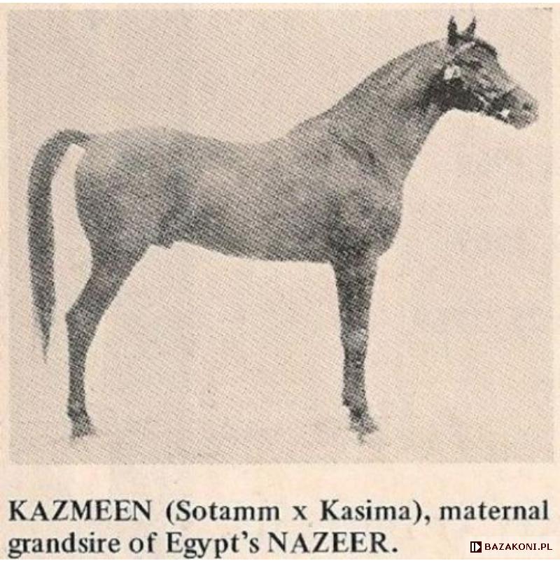 Kazmeen / Kasmeyn
