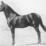 Ibn Rabdan