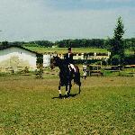 Permona - Permona<br /><i>26.05.2000 r. Elbląg</i>
