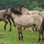 Namorzyniec<br />&copy; U. Tonderys