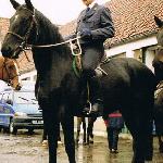 Hamira<br />&copy; Marta Pietrucin-Materek<br /><i>Hubertus Kadyny 1998</i>