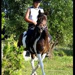 Polisa - Bukowa Mała 2008 r.