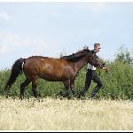 Ifa - Chmielewo 2012<br />&copy; Beata Gan