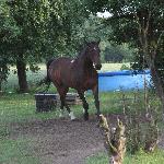 Granulat - 2012-06-24