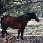 Granulat - 2012-10-26