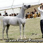 Ellissara - Ellissara 2008<br />&copy; Irina Filsinger